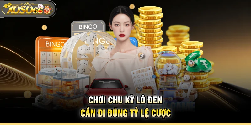 Chơi chu kỳ lô đen cần đi đúng tỷ lệ cược